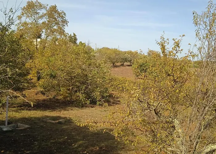 Ugo Casa vacanze Martina Franca